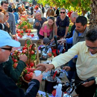 7 Super Food Festivals for Fall