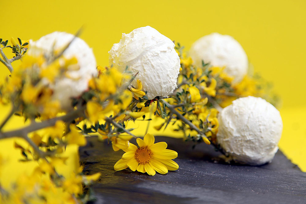 The New Cool: Eight Super Designer Gelato Bars