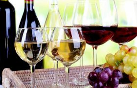 Warm Wines for Cooler Times