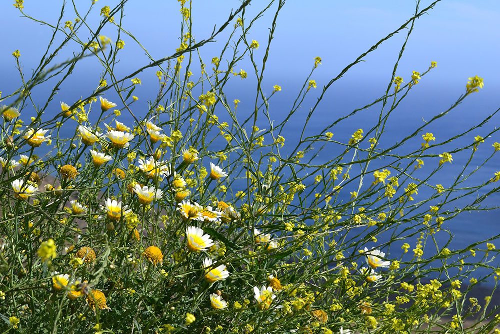 3 Top Hikes to do around Athens