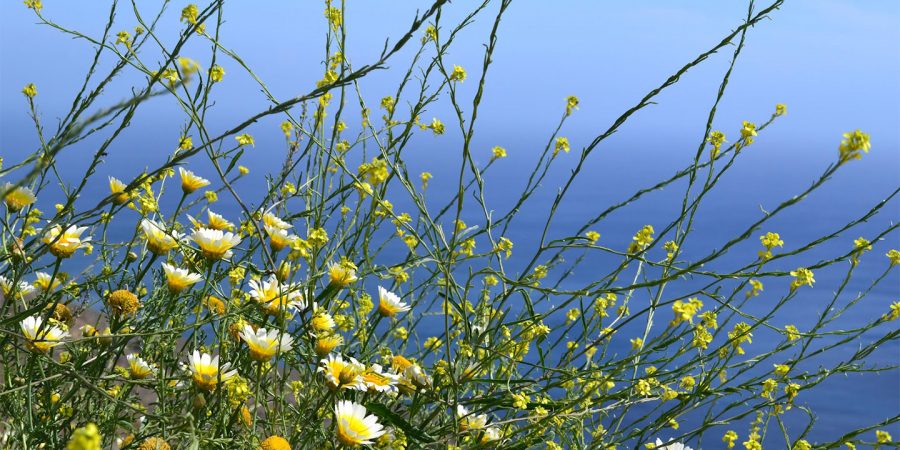 3 Top Hikes to do around Athens