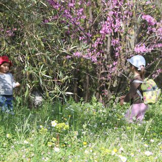 Young Vines Easter Garden Workshop