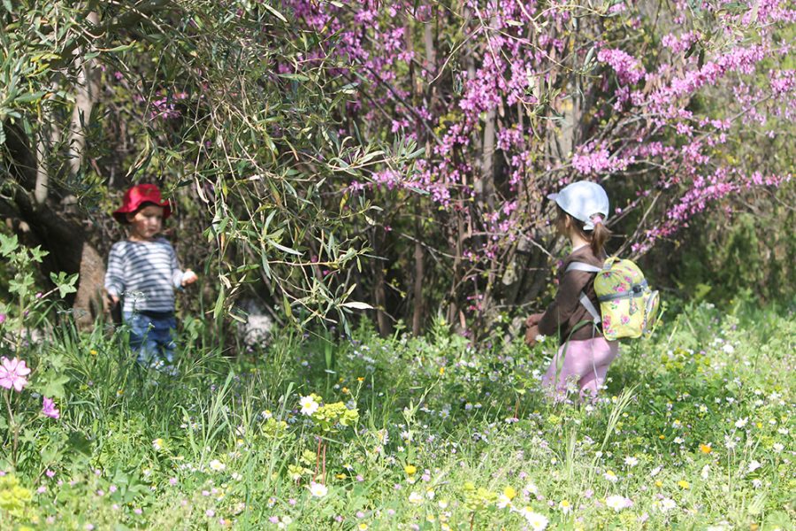 Young Vines Easter Garden Workshop