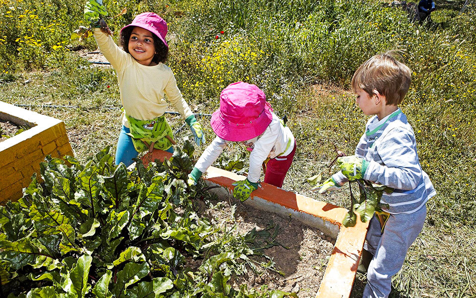 Perivoli Farm Play