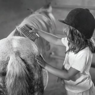 Greece’s rare Skyrian horses