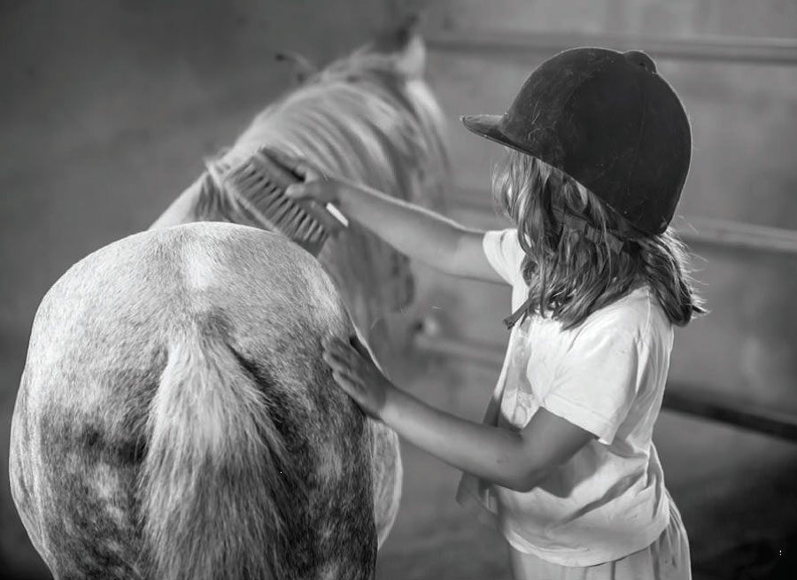 Greece’s rare Skyrian horses