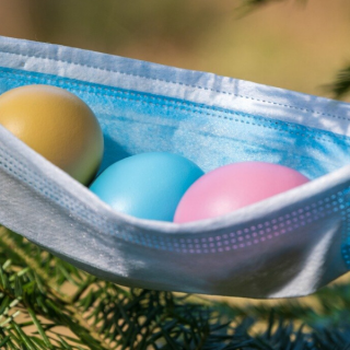 Insider Weekly Newsletter – FEEL-GOOD COUNTDOWN TO EASTER
