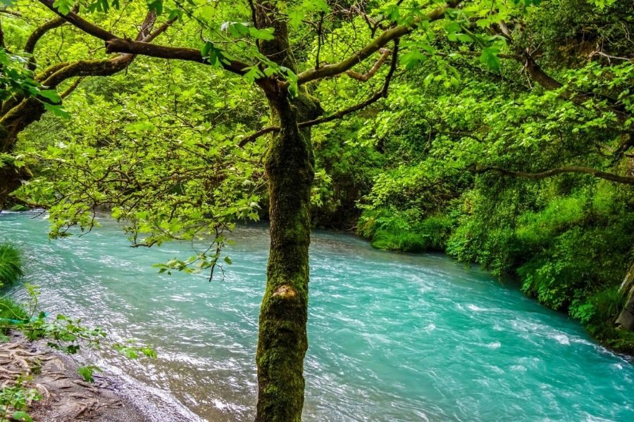 Magical Realism: A trip through Mainland Greece’s monasteries and battlefields