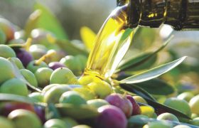 Tracing the Outstanding Olive to its Neolithic roots
