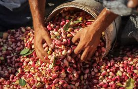 7 Super Food Festivals for Fall
