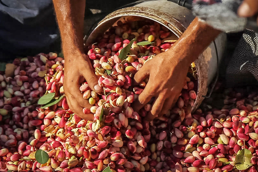 7 Super Food Festivals for Fall