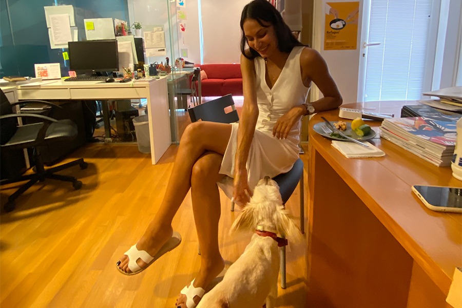 Pets at Work: Who let the dogs in!