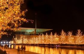 Christmas Magic at SNFCC