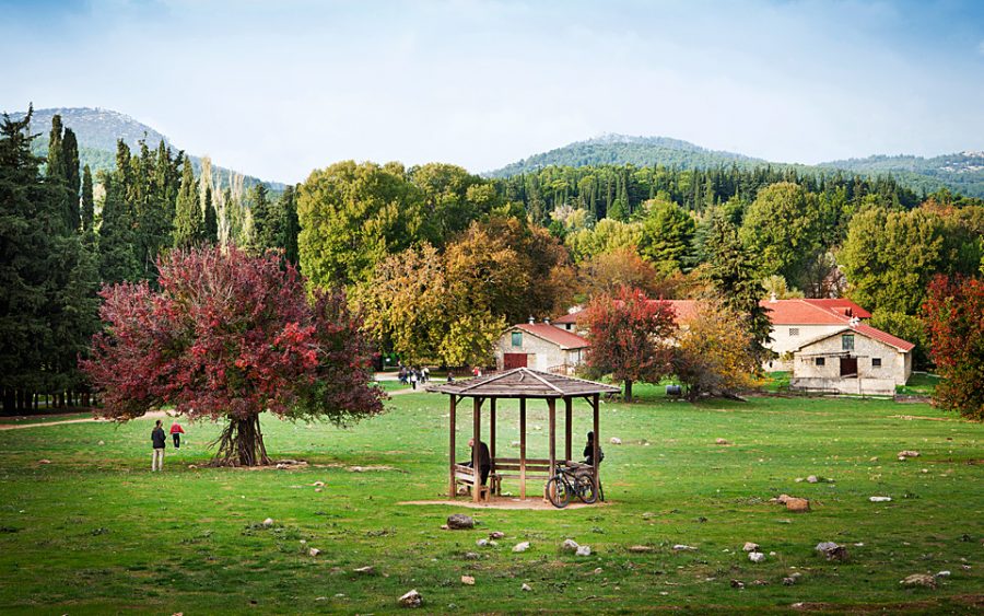 Former Royal Estate at Tatoi to be re-developed into a luxury hotel and spa destination