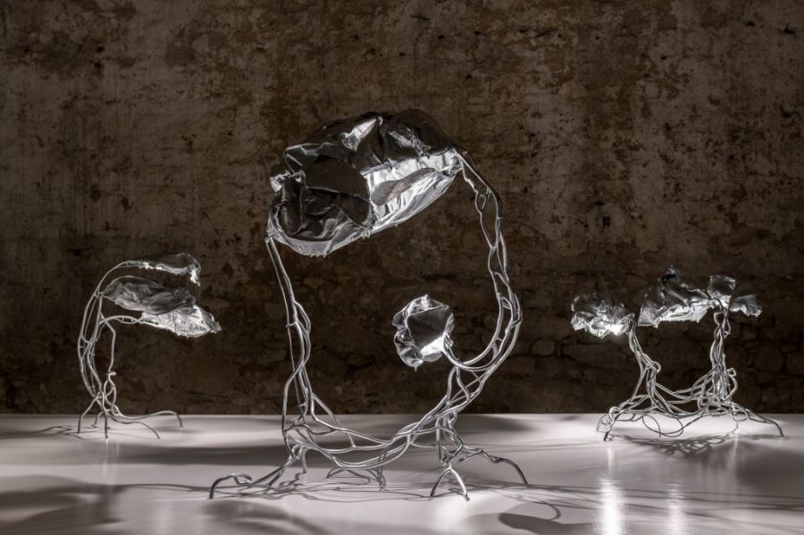 Marcin Rusak’s botanical light objects at Carwan Gallery