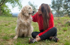 The City of Athens shows it cares for its strays