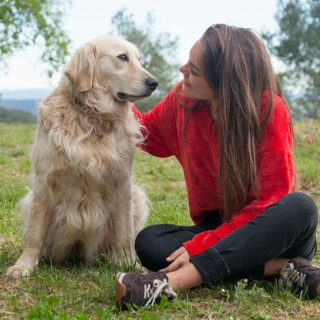 The City of Athens shows it cares for its strays