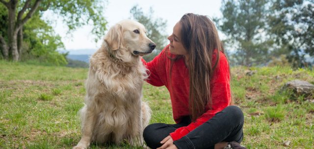 The City of Athens shows it cares for its strays