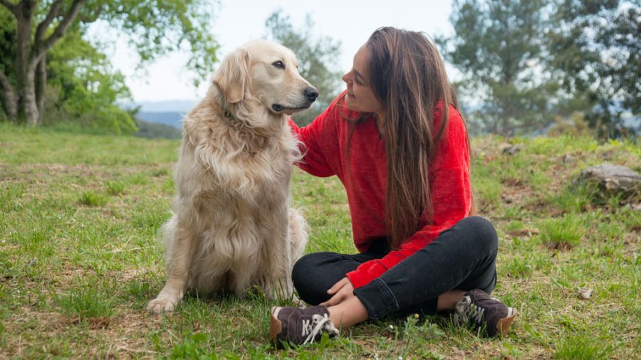 The City of Athens shows it cares for its strays