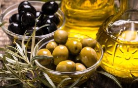 Picking and Pickling Olives: The Insider Guide
