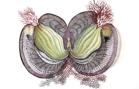 Anna Charaktinou’s Inside Out Art at the Blender Gallery