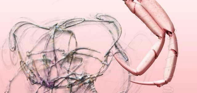 Love, lust, depraved jealousy: ‘Tosca’ at the Herodes Atticus this week