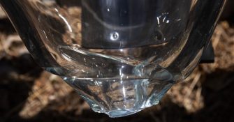 Kore: Georgia Sagri at The Breeder