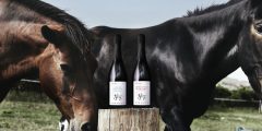 Sip and Celebrate: 3 Sparkling Greek Wines to Lift Your Spirits