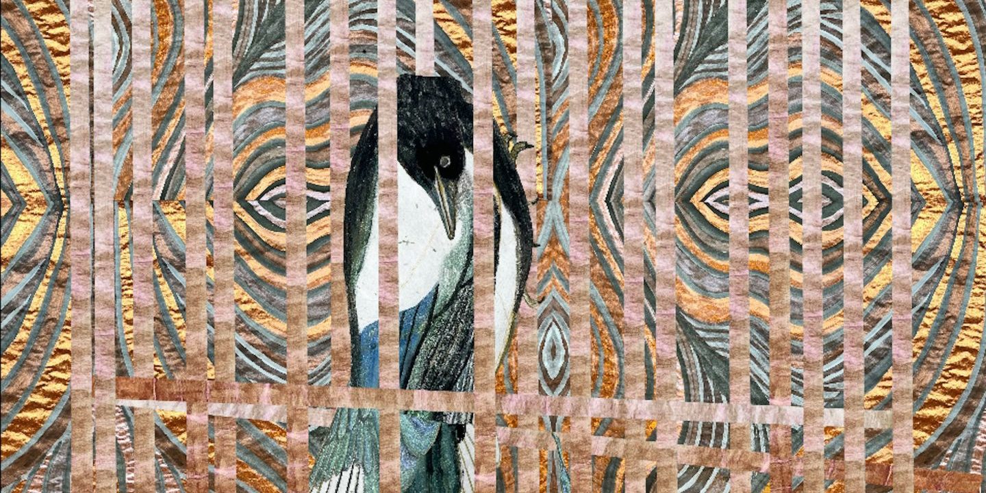 What we Mean to Animals: A Future with Fur, Feather, and Fang