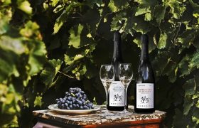 Sip and Celebrate: 3 Sparkling Greek Wines to Lift Your Spirits