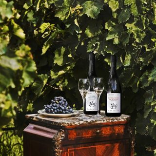 Sip and Celebrate: 3 Sparkling Greek Wines to Lift Your Spirits