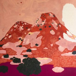 Cardon, carmin y ola: Ximena Maldonado Sánchez at the Berner/Eliades Gallery